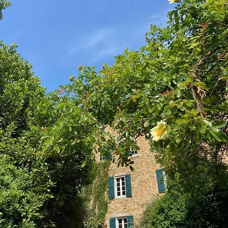 La Frigoule, Un Au Coeur Du Parc Des Cevennes Feriehus Generargues