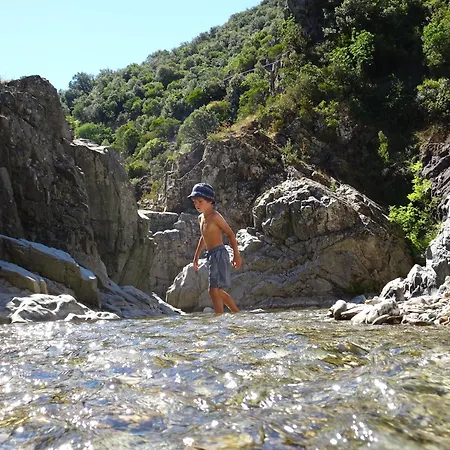 La Frigoule, Un Au Coeur Du Parc Des Cevennes Hébergement de vacances *