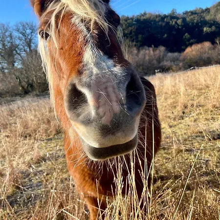 Hébergement de vacances La Frigoule, Un Au Coeur Du Parc Des Cevennes Generargues